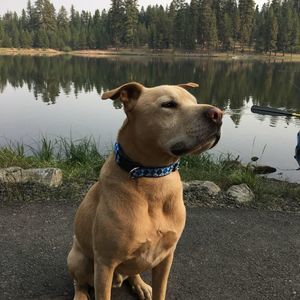 Meet your Posher, Colby